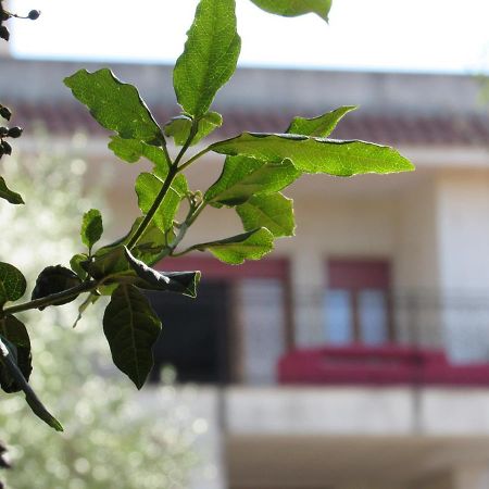 מרטינה פרנקה Villa Il Giovane Alloro מראה חיצוני תמונה