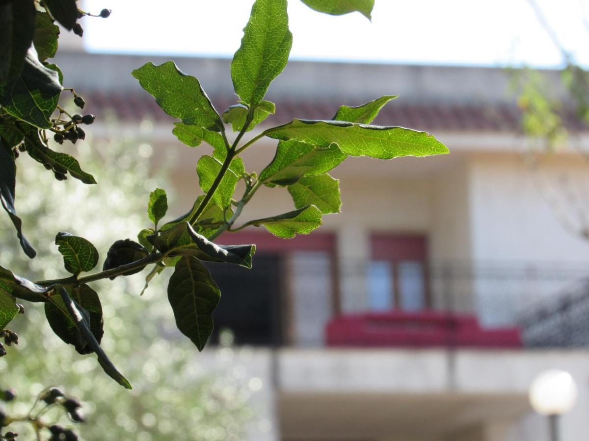 מרטינה פרנקה Villa Il Giovane Alloro מראה חיצוני תמונה