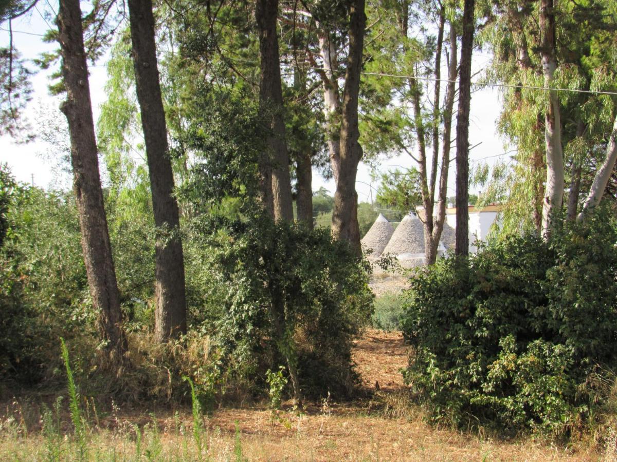 מרטינה פרנקה Villa Il Giovane Alloro מראה חיצוני תמונה